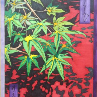 春紅葉