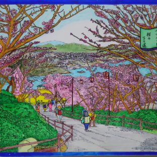 諸所尾道百景『千光寺公園～桜の下り道』