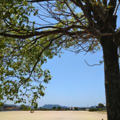 イラスト用紙の大きさの選び方と問題