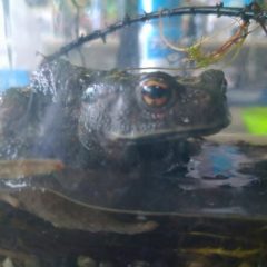 ブログ🆙しました。