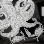 地蛸・石蟹（下書き）