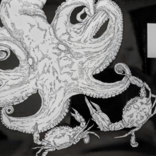 地蛸・石蟹（下書き）