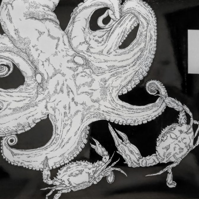 地蛸・石蟹（下書き）