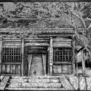 モノクロ・諸処尾道百景『魔訶衍寺・晩秋桜の大紋』