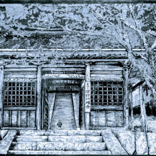 あお版・諸処尾道百景『魔訶衍寺・ばんしゅうざくら桜の大紋』