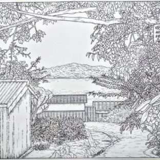 國じゅう諸所図絵『広島・三原市木原町・晩秋桜と海』