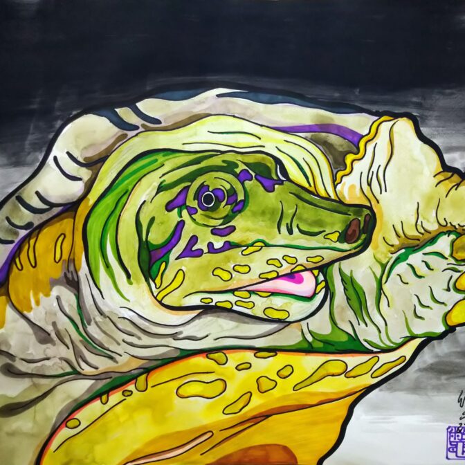 今津野大鼈(いまづの大すっぽん)