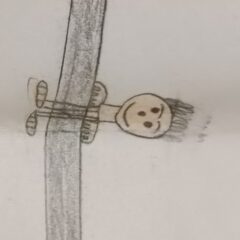 あなたが、✵大人気✵になれる方法を教えましょう。