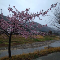 何もしないでも、何も気にならない、と云う状態が、理想の境地？？