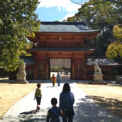 今治市✵大山祗神社(おおやまずみじんじゃ)✵に遊んできました❣️