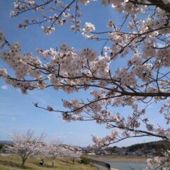 そのときは、能力が足りなくても、十何年後に、そのレベルにたっしていればいい。