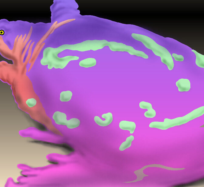 スーパースッポン