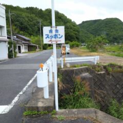 スッポンの種類