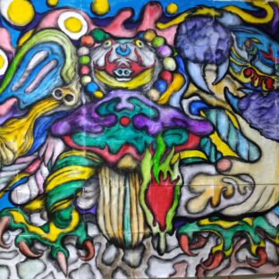 PRIMARY SCHOOL STUDENT