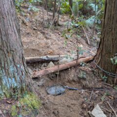 くくり罠仕掛け方