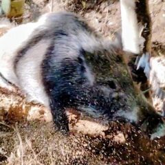 自己満足と云ふ最高快楽の世界へ。