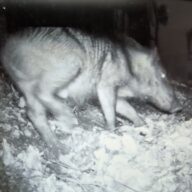 犯人わコイツだ！！