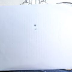 鼈人